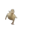 duck_arrive