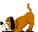 duck_huntq