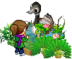 duck_pond