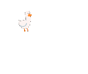 duckq