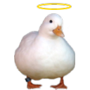 ducky-e