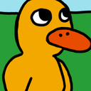 ducky1q