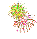 fireworks1q