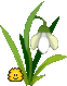 flower-love
