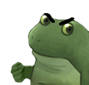 froge angry