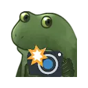 froge camera