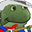 froge guitar