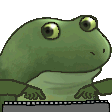 froge type