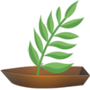 frondship