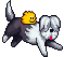 hairy-dog_knuddels