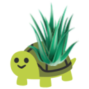 he brings you aloe vera