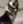 huskydog-dance