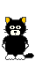 jumping-cat