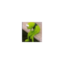 kerm_saddq