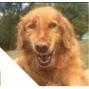 laughcry