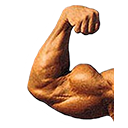 left bicep