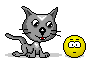 licking_cat