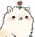 llama pretty gif