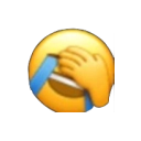 lolfacepalm