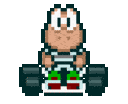mariokkoopaq