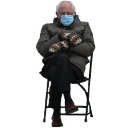 mittens_bernie