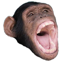 moneylaughq