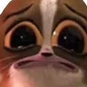 mortcryq
