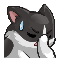 neko_facepalm