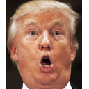 oh_trumpq