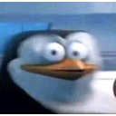 ohpenguinq