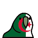 parrot algeria