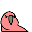 parrot angry