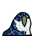 parrot antarctica