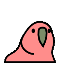 parrot backwards