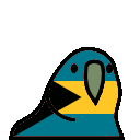 parrot bahamas