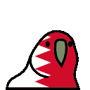 parrot bahrain