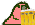 parrot_beers