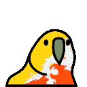 parrot bhutan