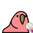 parrot boba