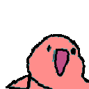 parrot bootleg