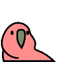 parrot bored