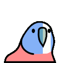 parrot brave heart