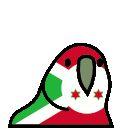parrot burundi