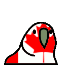 parrot canada