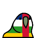 parrot centralafricanrepublic