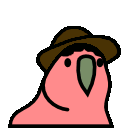 parrot chico