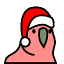 parrot christmas