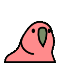 parrot confused