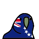 parrot cookislands