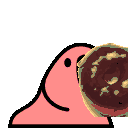 parrot donut